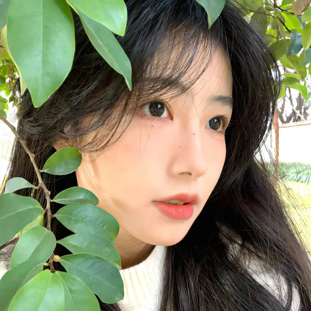 强大的首领