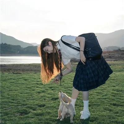 狼群的冲突